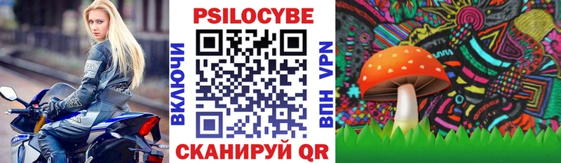 Галлюциногенные грибы Cubensis  блэк спрут зеркало  Льгов 